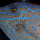 Illustration for article titled 10 Bioluminescent Organisms That Better Cut That Freaky Shit Out Before I Call The Cops